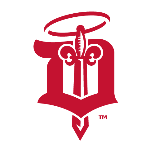 Dubuque Fighting Saints