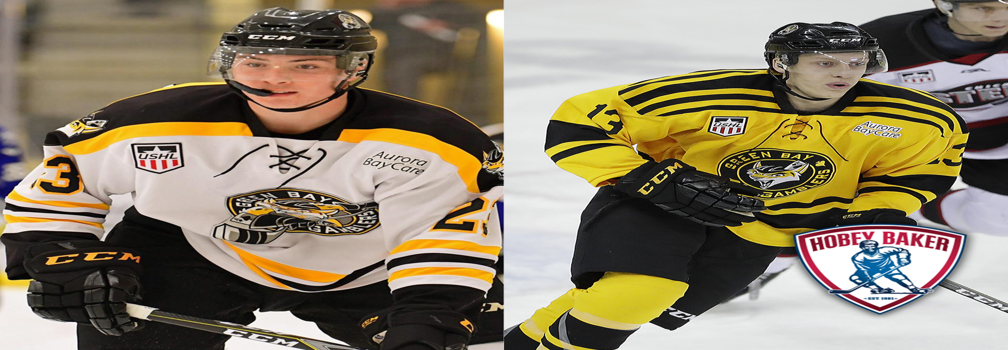 bliss-and-brodzinski-earn-hobey-baker-nominations