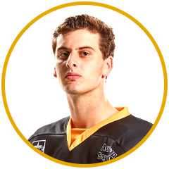 matt-dimarsico