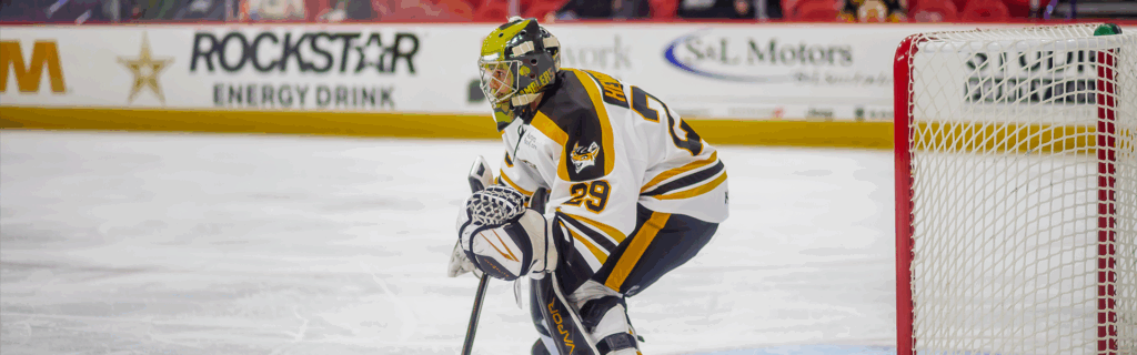 leo-henriquez-on-his-dominican-and-slovakian-heritage