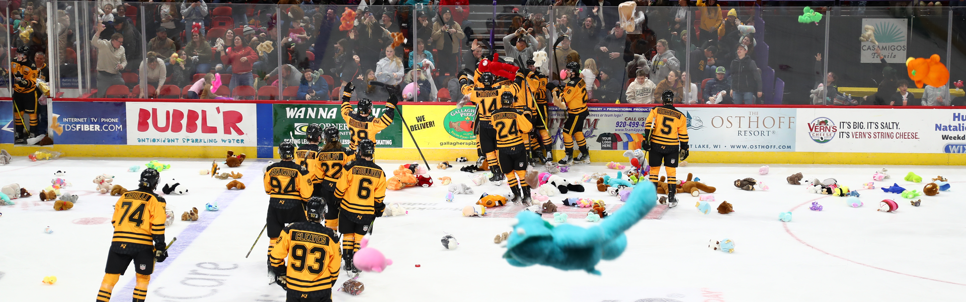 weekend-preview-teddy-bear-toss-returns-on-january-31st