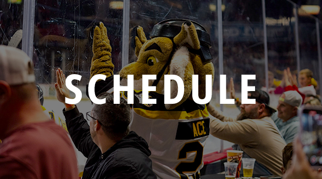 The Green Bay Gamblers game schedule.